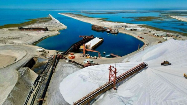 Crisis in Sal Exporter: Moisés Poblanno Under Fire