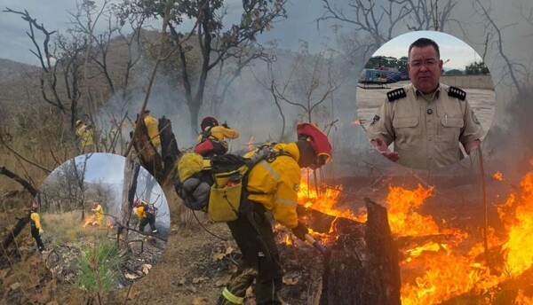 Incendio en el Bosque La Primavera queda controlado