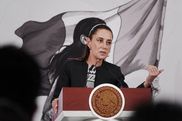 Шейнбаум отрицает свое участие в назначении нового аудитора