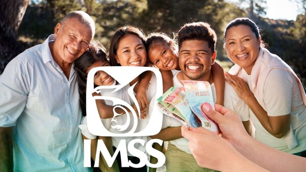 Новая регистрация семейного медицинского страхования в IMSS