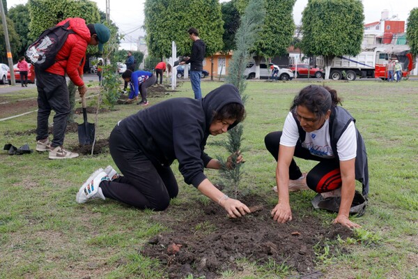 Puebla's Green Spaces Lag Behind WHO Recommendations