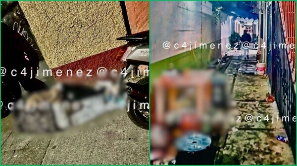 Насилие нарастает в Тепито с новыми shootings