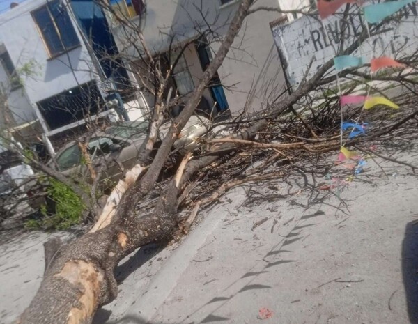 Intense Winds and Fires Hit Monterrey Area