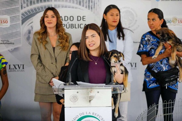 New Animal Welfare Law Introduced in Mexico