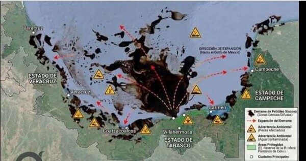 墨西哥湾石油泄漏威胁海洋鸟类和沿海社区