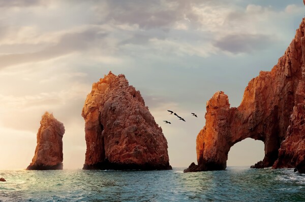 Baja California Sur Confirms Tourist Fee 'Embrace it' for 2026