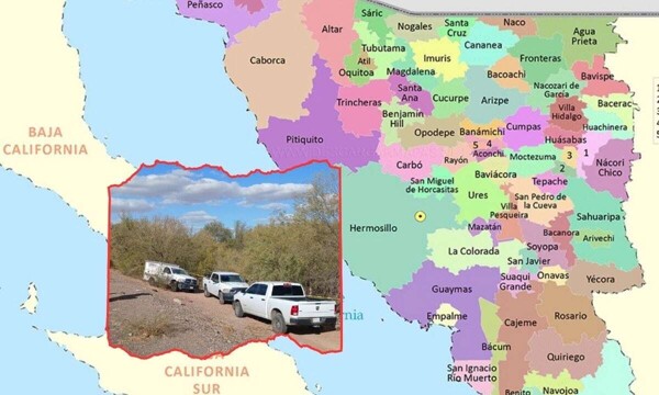 Обнаружение 35 clandestinas в Гуаймасе