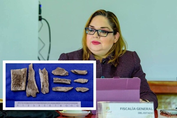 Nayarit Prosecutor's Office: Bones Found Belong to Animals