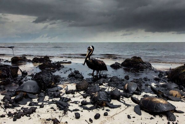 墨西哥环境危机：石油泄漏与有罪不罚