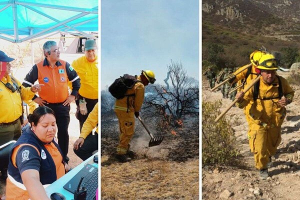Women Lead in the Fight Against Fires in Guanajuato