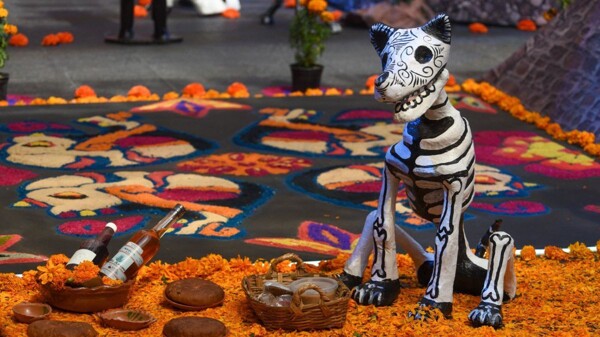 Day of the Dead: School Bridges in Mexico