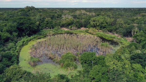 Excavations Uncover New Mayan Structures in Tekal de Venegas