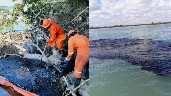 墨西哥宣布应对墨西哥湾石油泄漏计划