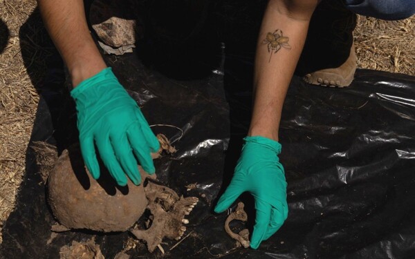 人权组织指责墨西哥政府淡化失踪危机