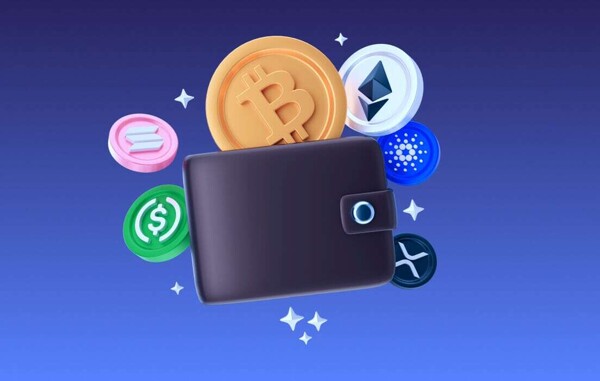 Выбор лучшего кошелька для инвестирования в криптовалюты