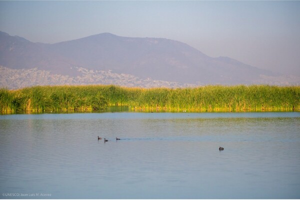 Mexico Designated Lake Texcoco as Ecohydrology Site