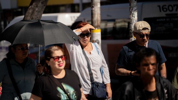 La canícula en México: qué es y cómo prepararse