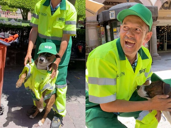 莱昂最干净的狗：街头清洁工和他的狗罗基如何为城市带回微笑