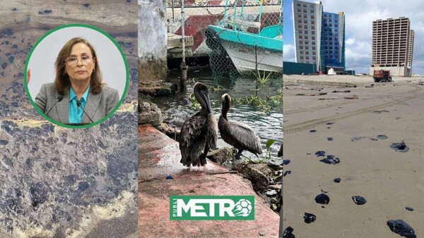 Экологический кризис в Веракрусе: туристы ушли, а проблема осталась