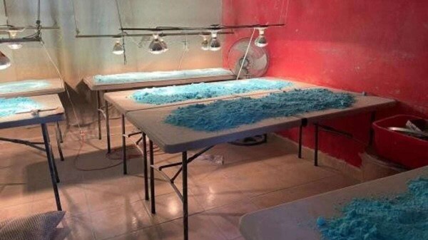 Сбои в производстве фентанила в Синалоа
