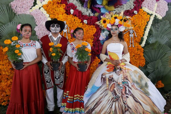 Puebla Leads Cempasúchil Flower Production