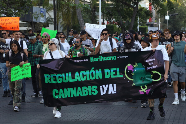 Activists Demand Cannabis Regulation in Mexico