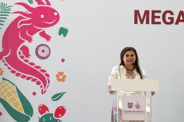 Mexico City Advances Public Care System Law