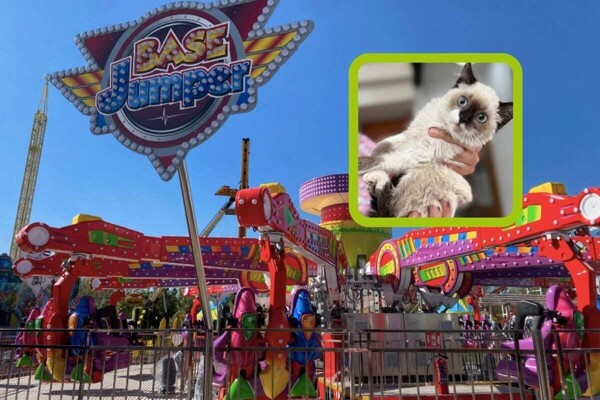 Adoption Event in León Promotes Animal Welfare