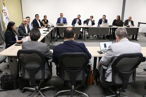 Reform of the Private Security Law in León
