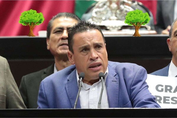 New Initiative Against Illegal Logging in Mexico