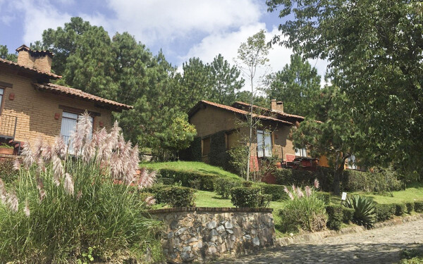 Операция против лидера картеля CJNG и глобальные тарифы США