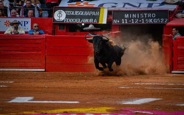 Congress in Mexico City Delays Bullfighting Ban Vote