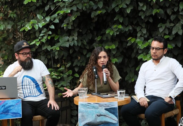 Tribunal suspende navegación para proteger ballenas en Golfo de California