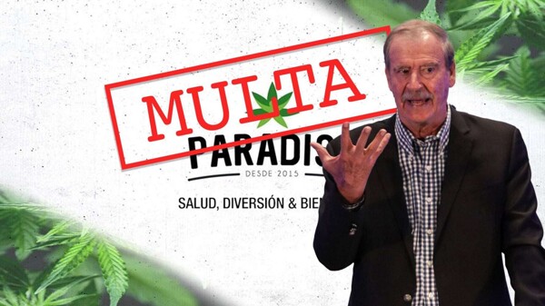 Кофеприс расследует Висенте Фокса по делу о продаже CBD