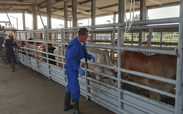 Claudia Sheinbaum Calls USDA's Demands Excessive