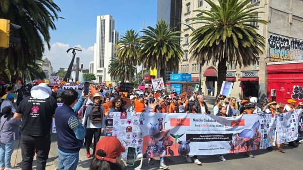 New Political Parties Forming in Mexico City