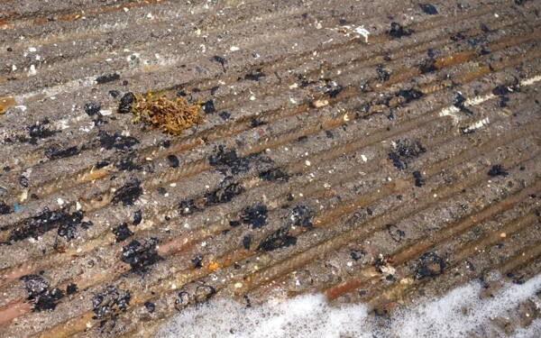 墨西哥湾漏油后墨西哥收集825吨石油