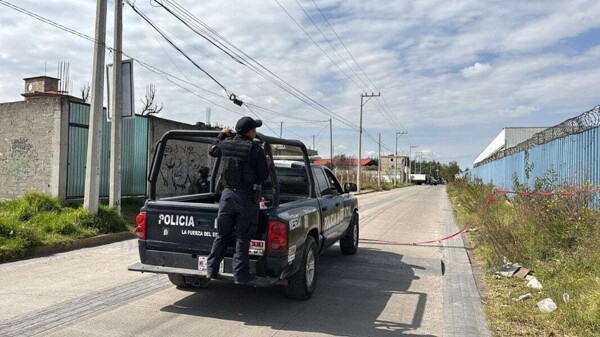 Culiacán Operation Dismantles Criminal Cell