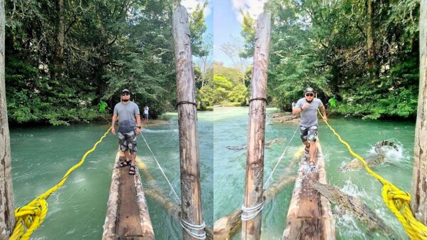 Инфлюенсер в Чиапасе оштрафован за фейковое изображение крокодилов с помощью ИИ