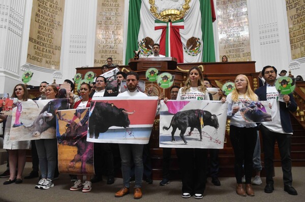 Prohibition of Bullfighting in Mexico City
