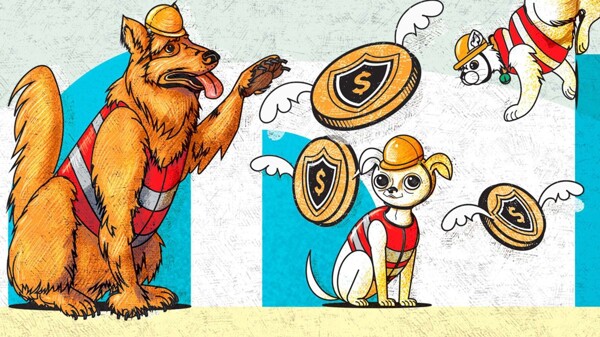 The Importance of Pet Insurance in Mexico